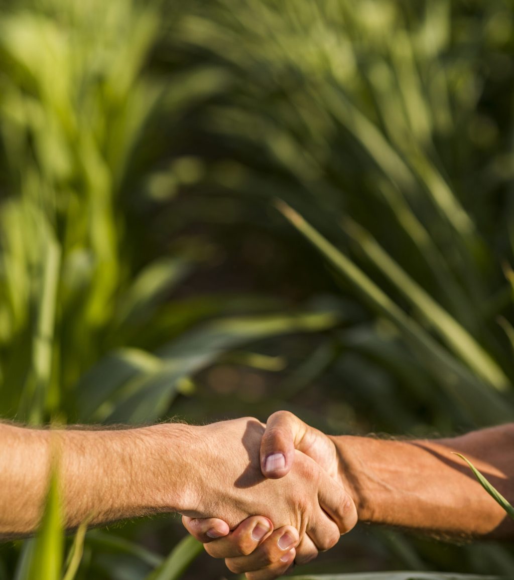 close-up-man-handshake-sunny-day